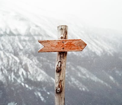 How to Use Cold Outreach and Lead Generation Tools for Startup Growth